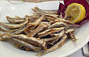 Fritto di alici